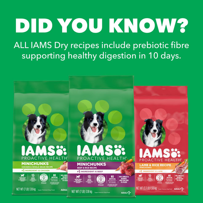 IAMS Proactive Health Minichunks Dry Dog Food – Crunchy Kibble For Adult Dogs – Lamb & Rice Recipe – 13.6KG (30LB) Bag 🍁 All In One Marketplace Canada