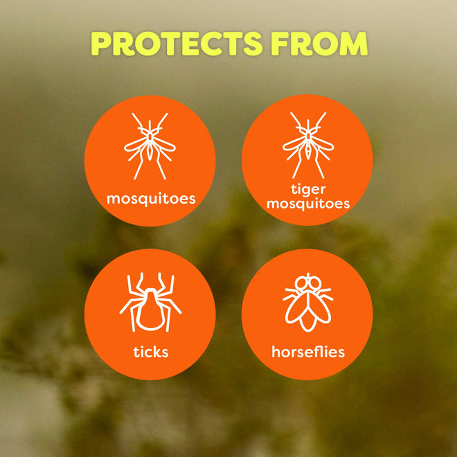 OFF! Deep Woods Dry Powder-Soft Mosquito Repellent, 25% DEET Insect Spray, Long-Lasting Bug Protection Tick Repellent, 360° Aerosol Camping Essential, 113g, 3- Pack 🍁 All In One Marketplace Canada