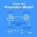 Boxie® Probiotic 40 Day Natural Odor Control Cat Litter, 28lb Clumping Clay Kitty Litter 🍁 All In One Marketplace Canada