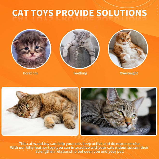 Cat Feather Toys, Cat Toys Wand, Interactive Cat Toy with Super Suction Cup, 2 PCS Cat Wand Toy and 6 PCS Feather Replacements with Bell, Interactive Cat Toy Kitten Toys for Indoor Play Chase Exercise (Natural) 🍁 All In One Marketplace Canada
