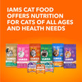 IAMS Perfect Portions Adult Wet Cat Food, Chicken Flavour, 75g (12 Pack) 🍁 All In One Marketplace Canada
