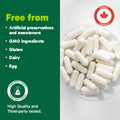 Organika Canadian-Made L-Glutamine - High-Absorption Formula - For Better Immune Defense, Muscle Recovery and Gut Health | 500mg 120vcaps 🍁 All In One Marketplace Canada