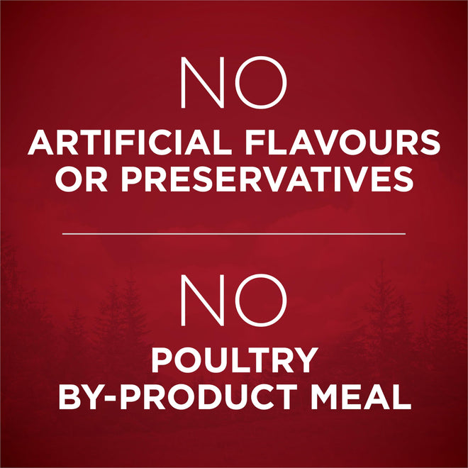 Purina ONE True Instinct Dry Dog Food, Chicken & Duck 6kg 🍁 All In One Marketplace Canada