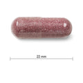 Jamieson Cranberry Complex, with 450 mg Cranberry Extract and 50 mg D-Mannose, Antioxidant, Max Concentrate, and Protects Against Urinary Tract Infections. Non-GMO, Gluten-Free, 100 Vegetarian Capsules 🍁 All In One Marketplace Canada