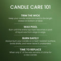 Yankee Candle Large Jar Scented Candle with up to 150 Hour Burn Time, Premium Plant Wax Blend for Cleaner Consistent Burn and Room Filling Fragrance, 22 oz, Balsam Cedar 🍁 All In One Marketplace Canada