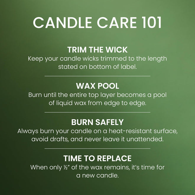 Yankee Candle Large Jar Scented Candle with up to 150 Hour Burn Time, Premium Plant Wax Blend for Cleaner Consistent Burn and Room Filling Fragrance, 22 oz, Balsam Cedar 🍁 All In One Marketplace Canada