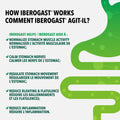 Iberogast 9 Herb Gut Health Treatment - Naturally Sourced Extracts, Gut Supplements For Women And Men, Digestive Supplements To Relieve Gastrointestinal Disturbances And IBS Symptoms,100ml 🍁 All In One Marketplace Canada