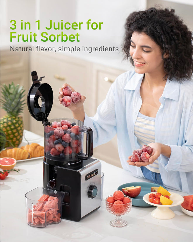 Juicer Machine, 6.5" Large Feed Chute Cold Press Juicer with 350W, Slow Masticating Juicer for Whole Vegetables & Fruits, High Juice Yield, Easy to Clean, Black 🍁 All In One Marketplace Canada