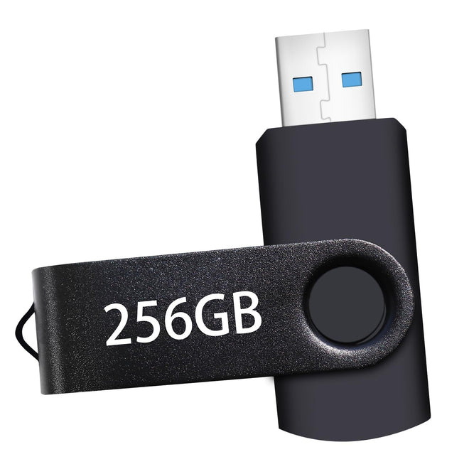 USB Flash Drive 256GB, Portable Thumb Drive: Memory Stick, Large Capacity USB Drive with Keychain, High-Speed USB 2.0 Data Storage Flash Drive for PC/Laptop 🍁 All In One Marketplace Canada