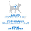 Purina ONE +Plus Dry Cat Food, High Protein with Salmon & Whitefish 3kg 🍁 All In One Marketplace Canada