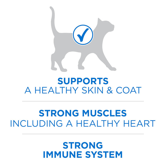 Purina ONE +Plus Dry Cat Food, High Protein with Salmon & Whitefish 3kg 🍁 All In One Marketplace Canada