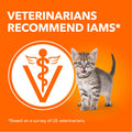 IAMS PERFECT PORTIONS Kitten Wet Cat Food, Chicken Flavour, 75g (24 pack) 🍁 All In One Marketplace Canada