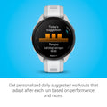 Garmin Forerunner® 165, Running Smartwatch, Colorful AMOLED Display, Training Metrics and Recovery Insights, Whitestone 🍁 All In One Marketplace Canada
