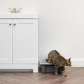 IRIS USA Large Cat Litter Box with Scatter Shield and Scoop, Open Top High Sided Cat Litter Pan, Gray 🍁 All In One Marketplace Canada