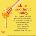 Burt's Bees Soothing Hot Spot Spray, 10-Ounce 🍁 All In One Marketplace Canada