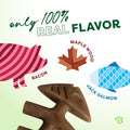 Benebone Small 4-Pack Dog Toys for Aggressive Chewers – Under 30 lbs 🍁 All In One Marketplace Canada