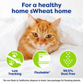 sWheat Scoop Natural Wheat Multi-Cat Litter, Superior Clumping with Odor Neutralizing Enzymes, 25 Pound Bag 🍁 All In One Marketplace Canada