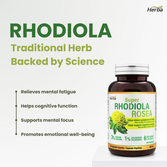 Herba Rhodiola Rosea Supplement 200mg - 90 Capsules | 6:1 Extract | Rhodiola Supplement with Min 3% Rosavins and 1% Salidrosides | Help Relieve Symptoms of Stress | Made in Canada 🍁 All In One Marketplace Canada