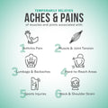 KaLaya Extra Strength Pain Relief Cream With CSSO and Roller Massager Ball for Back, Neck, Muscle, Shoulder, Hand and Knees with Natural Active, Pain Blocking & Anti inflammatory Ingredients (100g) 🍁 All In One Marketplace Canada
