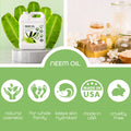 Neem Oil Multipurpose, 100% Natural Neem Oil, Cold-Pressed Unrefined, 946 ml 🍁 All In One Marketplace Canada