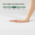 Zinus Twin Mattress - 8 Inch Green Tea Cooling Gel Memory Foam Mattress, Pressure Relief, for Cool Sleep, CertiPUR-US Certified Foam, Mattress in a Box, 10-Year Warranty, Twin Size 🍁 All In One Marketplace Canada
