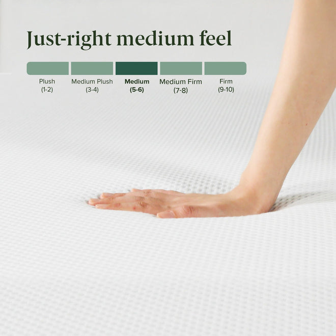 Zinus Full Mattress - 6 Inch Green Tea Cooling Gel Memory Foam Mattress, Pressure Relief, for Cool Sleep, CertiPUR-US Certified Foam, Mattress in a Box, 10-Year Warranty, Full Size 🍁 All In One Marketplace Canada