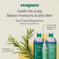 Renpure Tea Tree & Rosemary Shampoo & Conditioner Set, Plant Based - Refreshes & Rebalances Hair and Scalp - For Oily/Normal Hair - Tea Tree Leaf Oil, Rosemary Leaf Extract - 24 Fl Oz each, 2 Pack 🍁 All In One Marketplace Canada