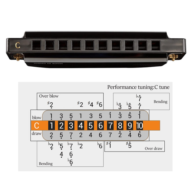 JDR Harmonica C, Blues armonica Key of C 10 Hole 20 Tone with Case Mouth Organ Standard Diatonic for Kids Beginner Adults Professional Player Teacher Parents Students Black New Year Gift 🍁 All In One Marketplace Canada