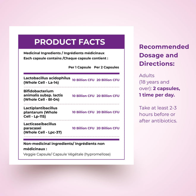 Nutratology® Probiotics for Women | Canadian-Made | 40 Billion CFUs Per Capsule | 80 Billion CFUs Per Serving - Bloating Relief & Digestion - 4 Strains of Women's Probiotic for Gut Health -120 Count 🍁 All In One Marketplace Canada