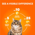IAMS Perfect PORTIONS Adult Wet Cat Food, Chicken Flavour, 75g (24 Pack) 🍁 All In One Marketplace Canada
