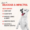 Stella & Chewy’s Freeze Dried Raw Dinner Patties – Grain Free Dog Food, Protein Rich Chewy’s Chicken Recipe – 708g Bag 🍁 All In One Marketplace Canada