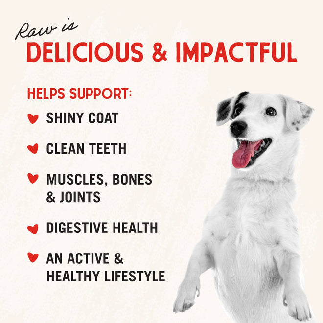 Stella & Chewy’s Freeze Dried Raw Super Beef Meal Mixer – Dog Food Topper for Small & Large Breeds – Grain Free, Protein Rich Recipe – 510g Bag 🍁 All In One Marketplace Canada