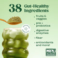 Bloom Nutrition Superfood Greens Powder, Digestive Enzymes with Probiotics and Prebiotics, Gut Health, Bloating Relief for Women, Chlorella, Green Juice Mix with Beet Root Powder, 25 SVG, Mango 🍁 All In One Marketplace Canada