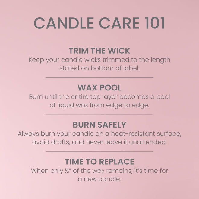 Yankee Candle 3 Wick Candle Jar, Scented Candle with up to 40 Hours of Burn Time, Premium Plant Wax Blend for Consistent Long Lasting Scent from First to Last Burn, Vanilla Cupcake 🍁 All In One Marketplace Canada