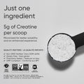 Sports Research® Creatine Monohydrate - Pure Micronized Creatine Monohydrate Powder - Improves strength, power, and performance for Women and Men | Non-GMO 100 Servings 🍁 All In One Marketplace Canada