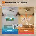 addlon Ceiling Fans with Lights, 42 Inch Low Profile Ceiling Fan with Light and Remote Control, Flush Mount, Reversible, 3CCT, Dimmable, Quiet, Black Small Ceiling Fan for Bedroom Indoor/Outdoor Use 🍁 All In One Marketplace Canada