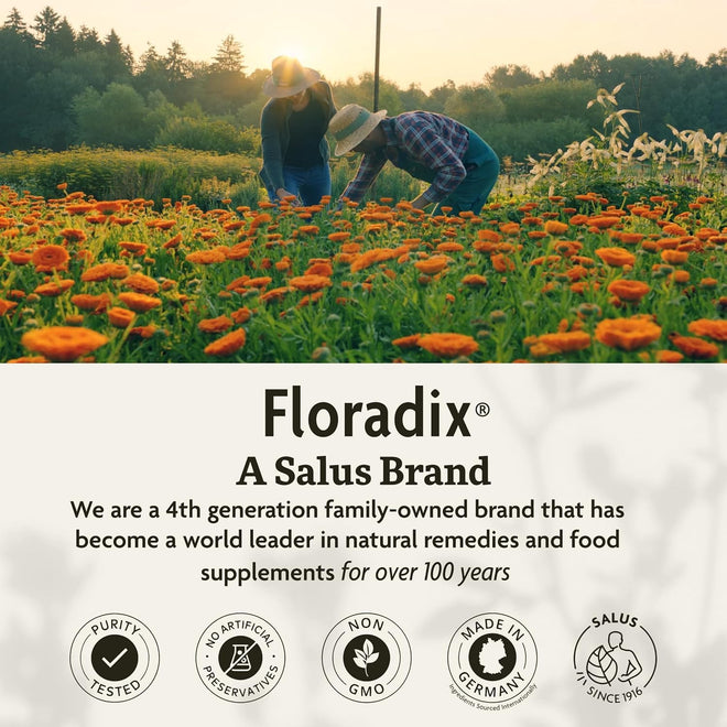 Salus Floradix Liquid Iron and Vitamins | Herbal Iron Supplement for Women, Men, and Children | Vegetarian, Dairy-Free & Non-GMO (250ml) 🍁 All In One Marketplace Canada