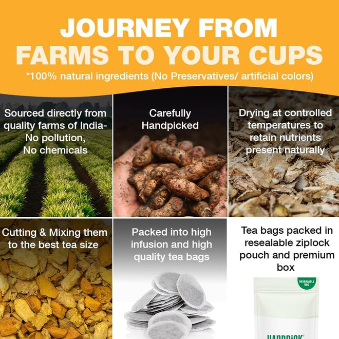 HANDPICK, Turmeric Ginger Tea, 100 Eco-Conscious Tea Bags | Caffeine Free, Gluten Free | 100% Pure Herbal Blend - Savory & Spicy | Curcumin | Packed in Eco-Friendly Tea Bags 🍁 All In One Marketplace Canada