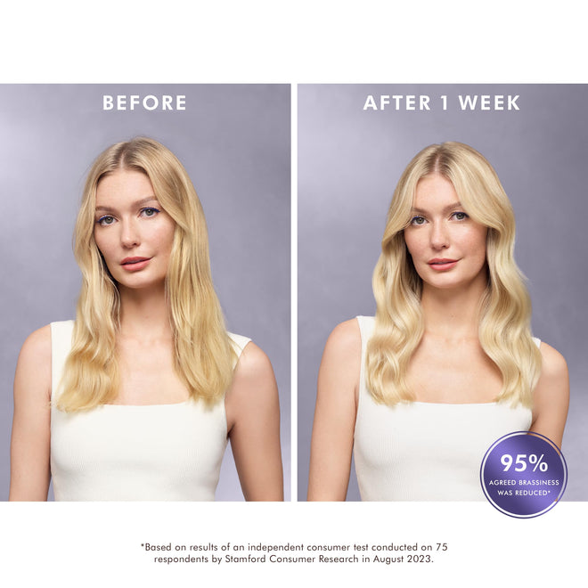 Moroccanoil Treatment Purple Hair Oil for Blonde Hair, 0.85 Fl. Oz. 🍁 All In One Marketplace Canada
