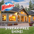 Windex Outdoor Window, Glass, and Patio Cleaner Refill, Streak-Free, Removes Dirt and Grime, Surface Cleaning Shine Spray, 3.8mL 🍁 All In One Marketplace Canada