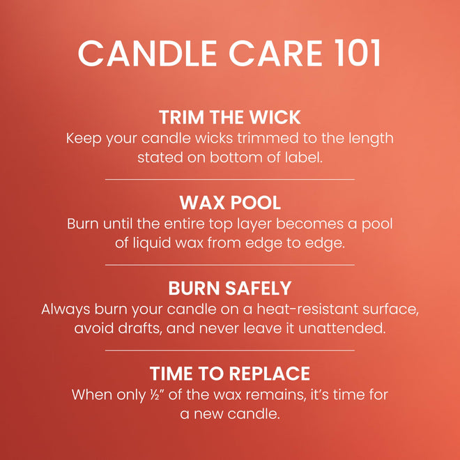 Yankee Candle Large Jar Scented Candle with up to 150 Hour Burn Time, Premium Plant Wax Blend for Cleaner Consistent Burn and Room Filling Fragrance, 22 oz, Spiced Pumpkin 🍁 All In One Marketplace Canada
