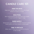 Yankee Candle 3 Wick Candle Jar, Scented Candle with up to 40 Hours of Burn Time, Premium Plant Wax Blend for Consistent Long Lasting Scent from First to Last Burn, Dried Lavender & Oak 🍁 All In One Marketplace Canada