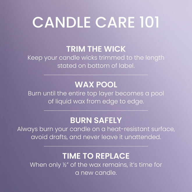 Yankee Candle 3 Wick Candle Jar, Scented Candle with up to 40 Hours of Burn Time, Premium Plant Wax Blend for Consistent Long Lasting Scent from First to Last Burn, Dried Lavender & Oak 🍁 All In One Marketplace Canada