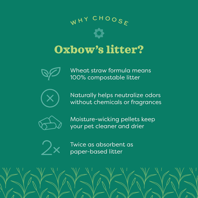 Oxbow Bene Terra Eco-Straw 20-Pound 🍁 All In One Marketplace Canada