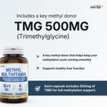 Herba Methylated Multivitamin with 500mg TMG & Methylated B Complex - 120 Capsules | 15 in 1 Formula | B Complex Vitamins for Women & Men including Methyl Folate Supplement | Vegan | Made in Canada 🍁 All In One Marketplace Canada