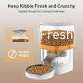 Yuposl Automatic Cat Feeder, 3L Cat Food Dispenser with Over 180-day Battery Life, Anti-Jam Design, 1-6 Meals Per Day with Stainless Steel Cat Bowl, Keep Cat Dry Food Fresh, Also for Small Dog 🍁 All In One Marketplace Canada