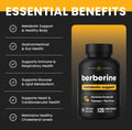 Berberine 1200mg Complex – 120 Count - Highest Purity 97% Berberine HCl + Patented Berbevis Phytosome for Max Absorption – Ultra Strength Capsules With Grape Seed Extract - Berberine Supplement Supports Glucose Metabolism & Healthy Blood Sugar Levels