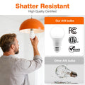 Sylvania ECO LED Light Bulb, A19, 100W Equivalent, Efficient 14.5W, 7 Year, 1450 Lumens, Frosted, 5000K, Daylight - 6 Pack (40884) 🍁 All In One Marketplace Canada
