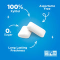 PUR Gum | Aspartame Free Chewing Gum | 100% Xylitol | Natural Peppermint Flavoured Gum, 55 Pieces (Pack of 6) 🍁 All In One Marketplace Canada