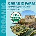 Aloe Vera Drinkable Gel, Orange, Heartburn & Acid Reflux, 1,5 L 🍁 All In One Marketplace Canada